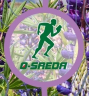 О-среда 42 О-среда 42